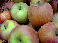 Imatge de complement